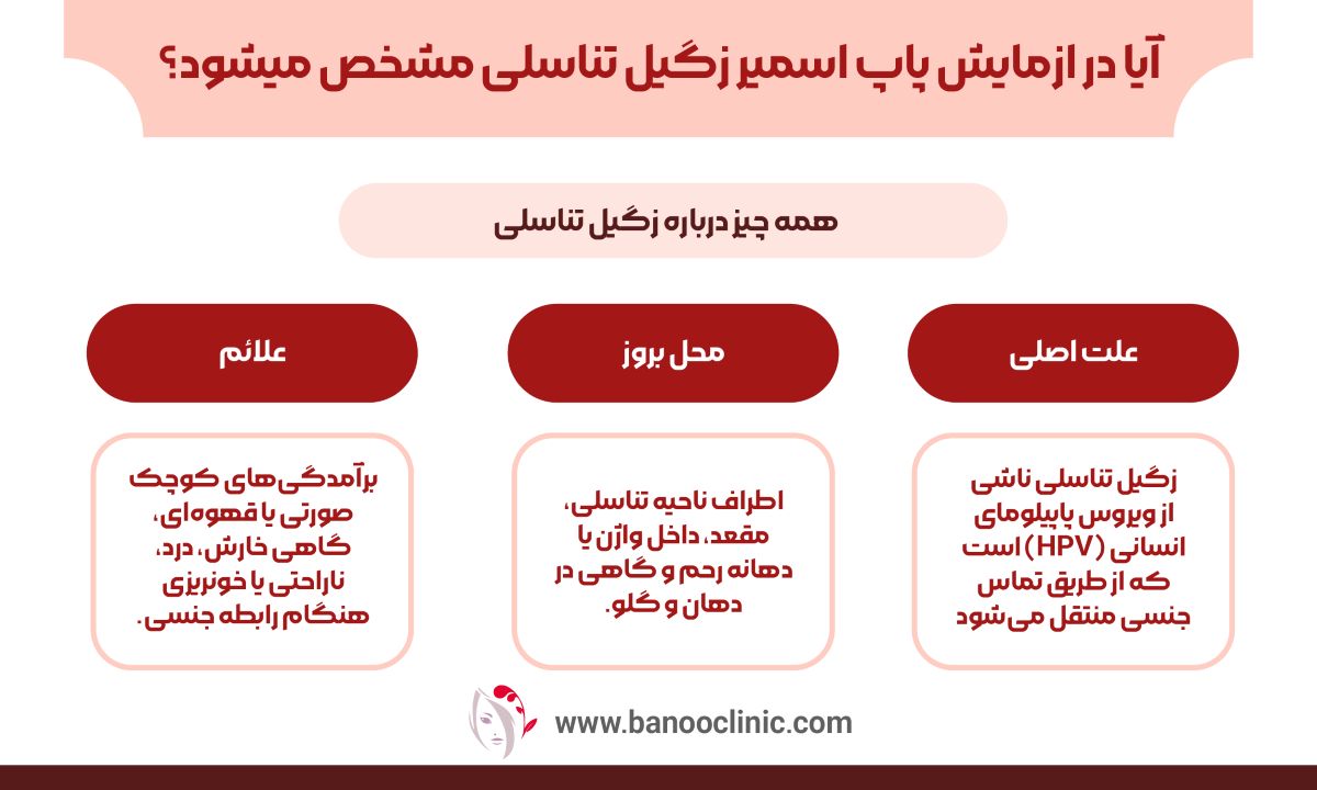 ایا در ازمایش پاپ اسمیر زگیل تناسلی مشخص میشود
