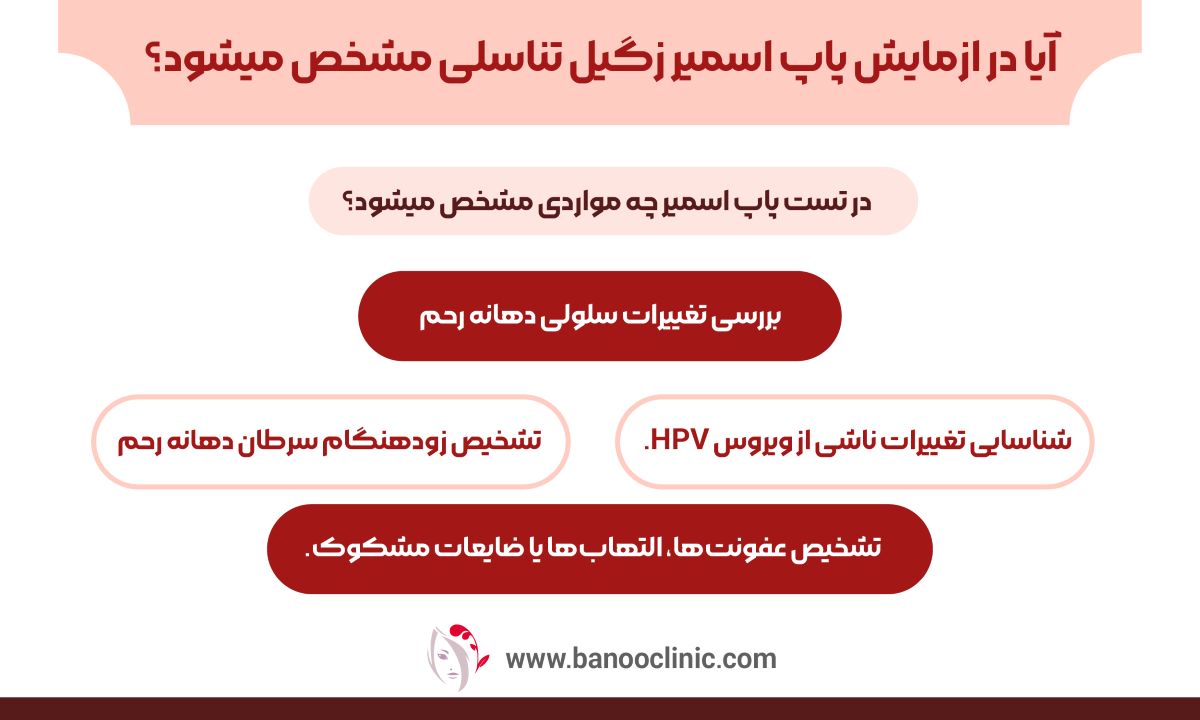 ایا در ازمایش پاپ اسمیر زگیل تناسلی مشخص میشود