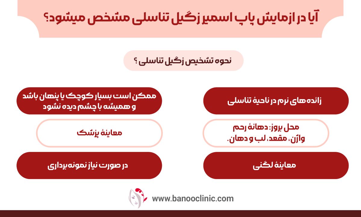 ایا در ازمایش پاپ اسمیر زگیل تناسلی مشخص میشود