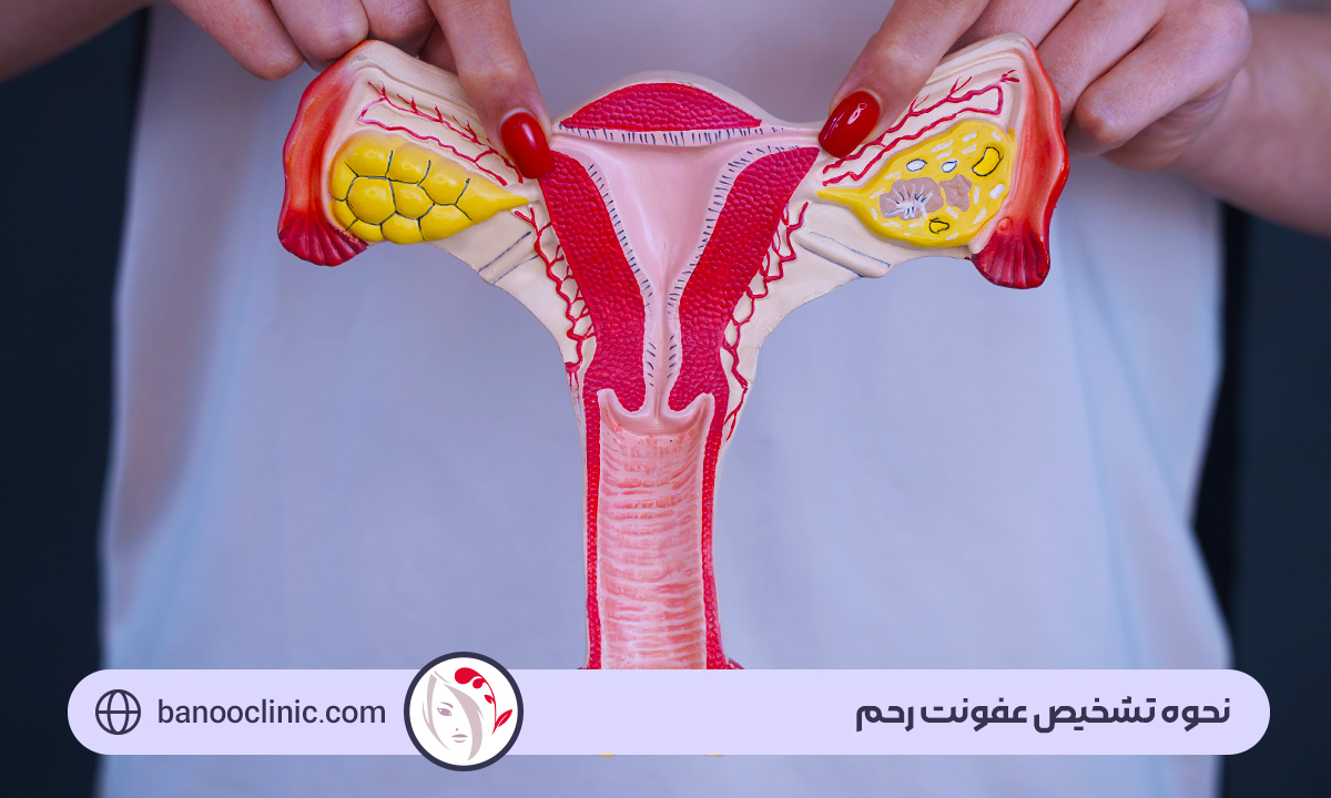 پاکسازی رحم از عفونت